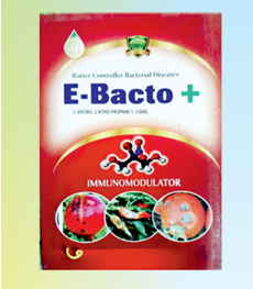 enrich ebacto