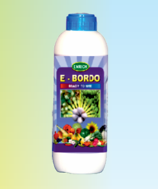 enrich ebordo