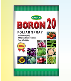 enrich boron
