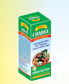 enrich charge