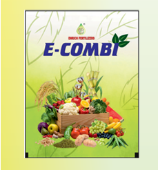 enrich combi