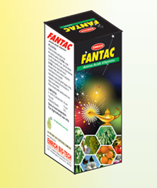 enrich fantac