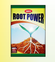 enrich rootpowder