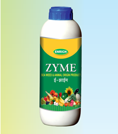 enrich zymes