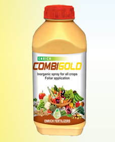 E-CombiGold DF