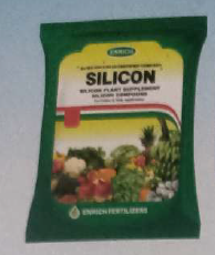 Silicon