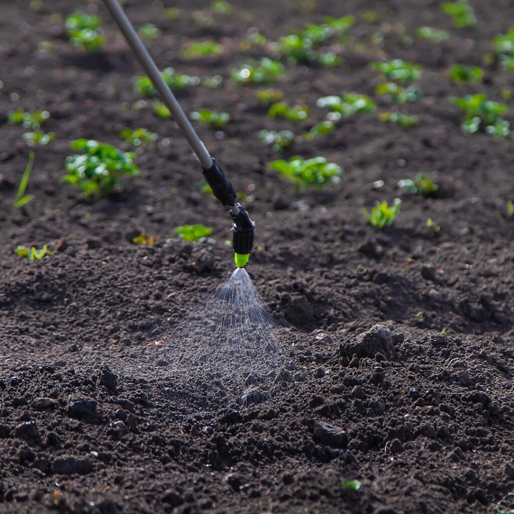 Biofertilizers